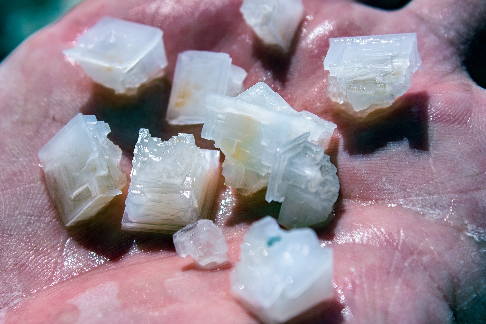 Кристаллы соли на Кояшском озере